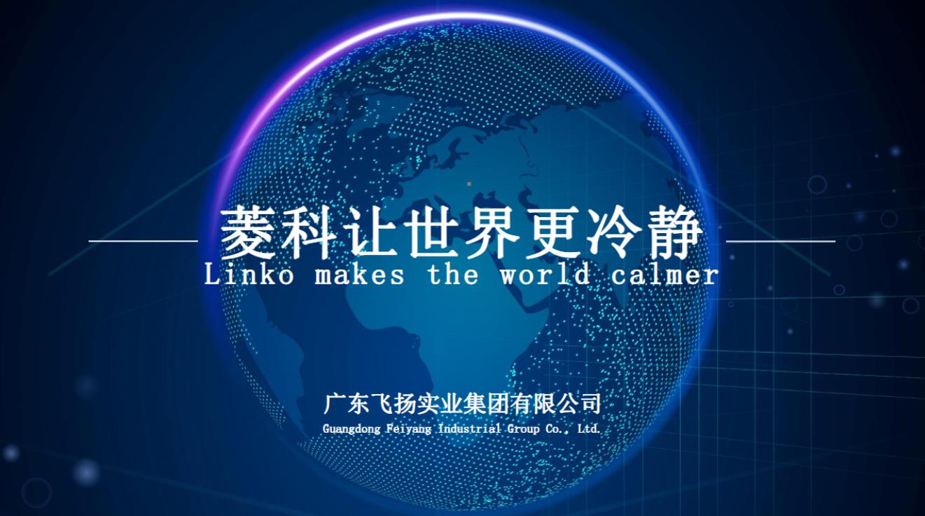 飛揚集團PPT
