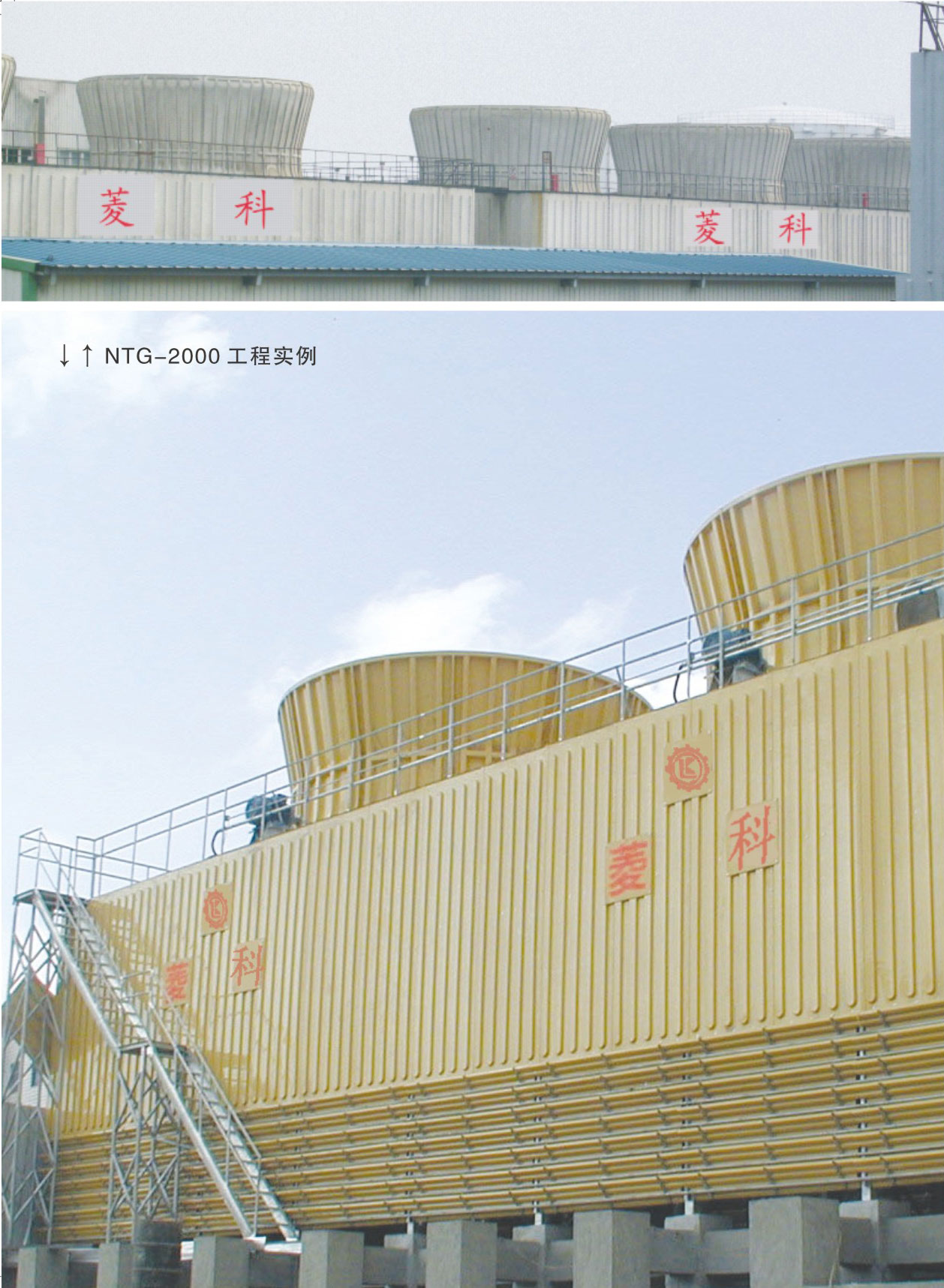 NTG系列--8.jpg