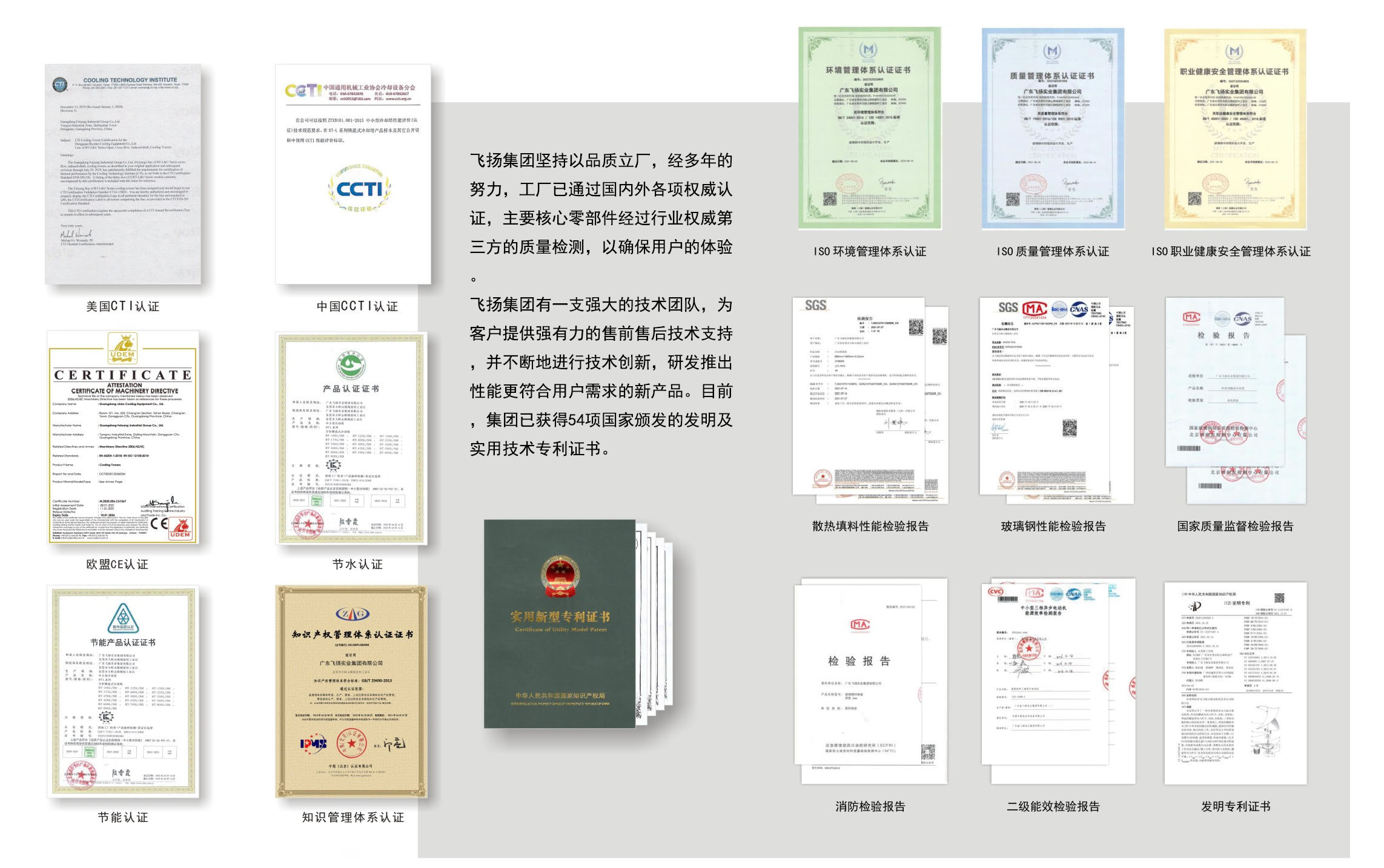 飛揚資質.png